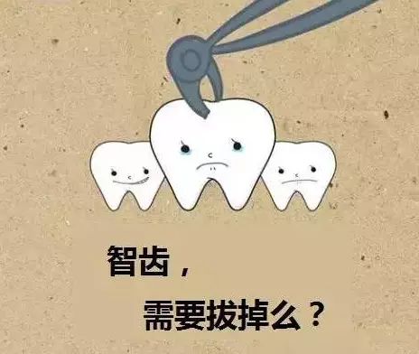 拔智齒的最佳年齡  